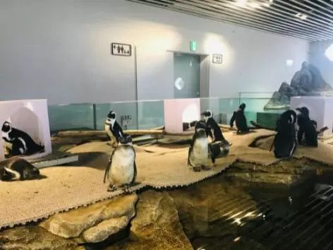 图片关键词 图片关键词