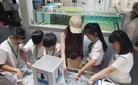图片关键词 图片关键词