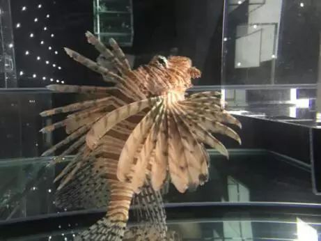 图片关键词 图片关键词
