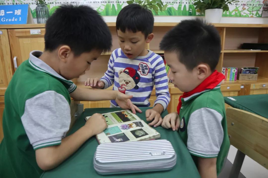 图片关键词 图片关键词