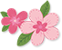 漂亮的樱花 图片关键词