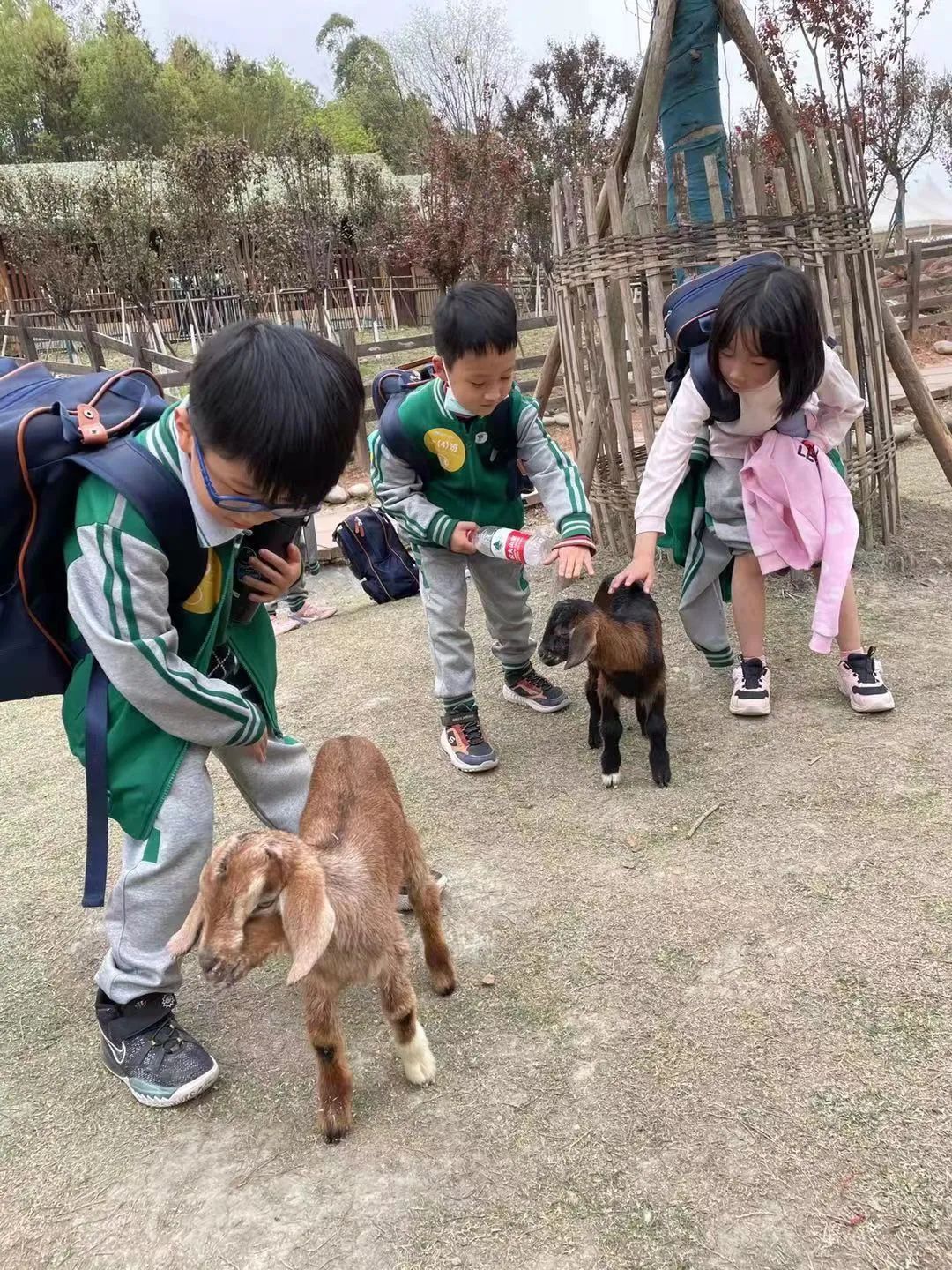 图片关键词 图片关键词