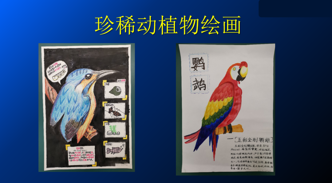 图片关键词 图片关键词