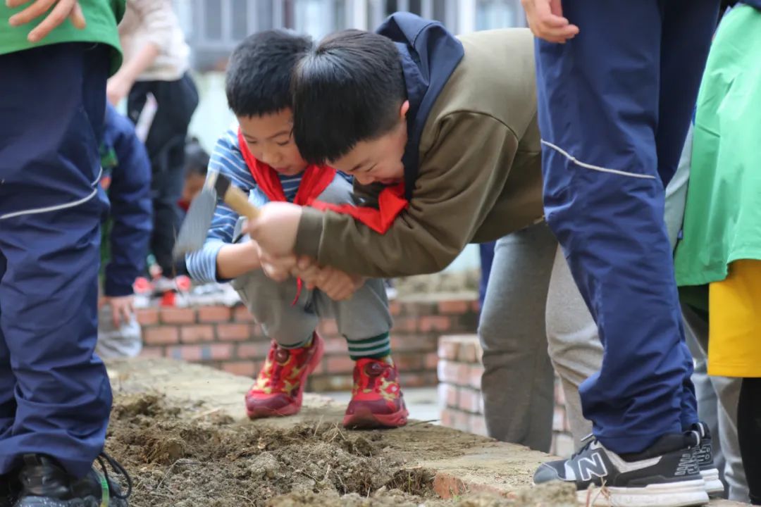 图片关键词