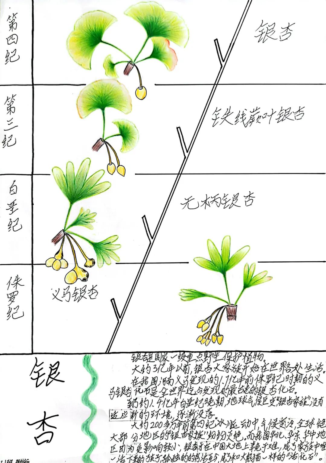 图片关键词