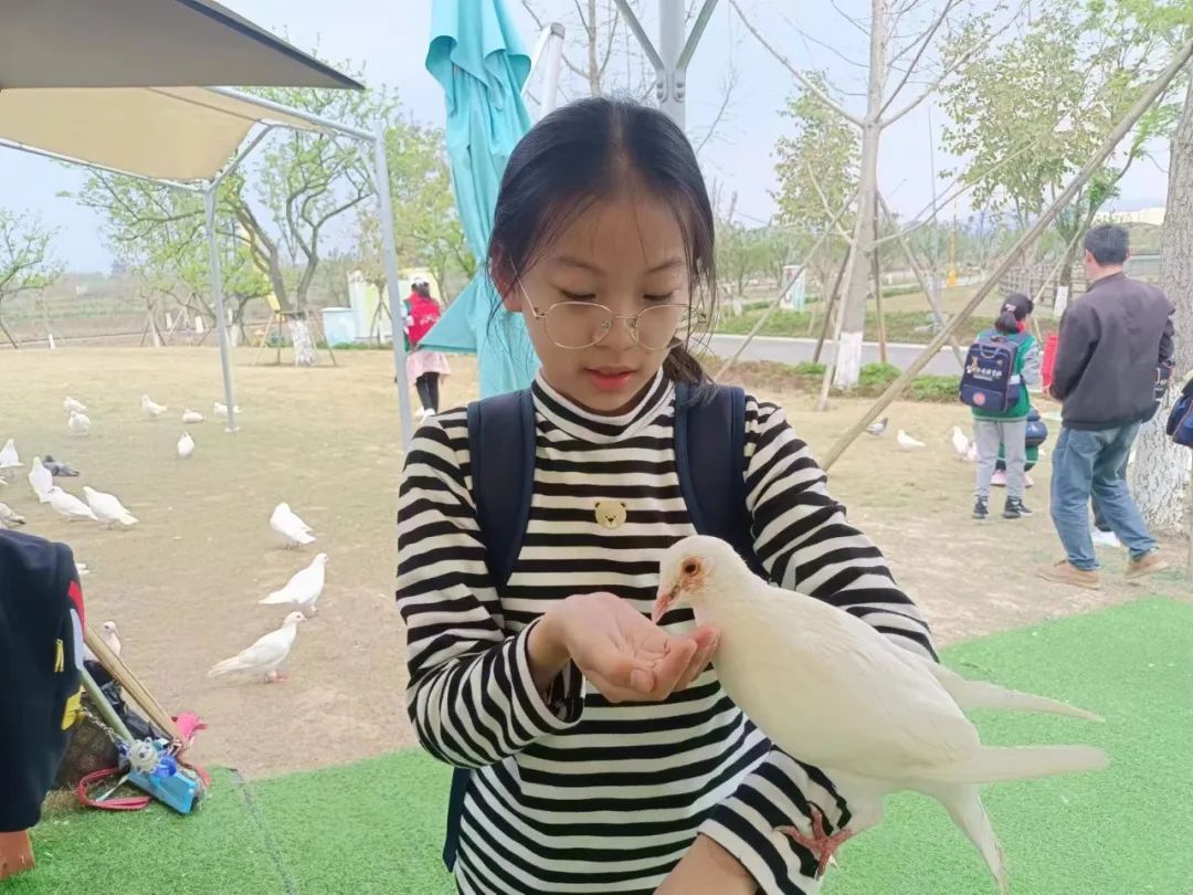 图片关键词