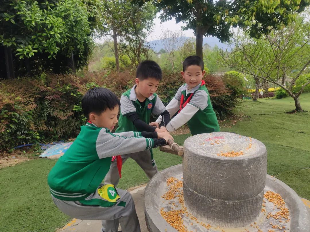 图片关键词